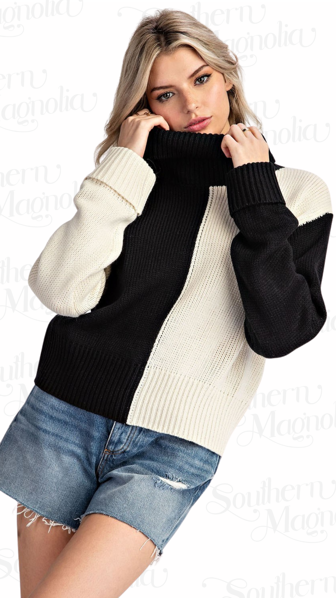 Sarah Color Block Sweater